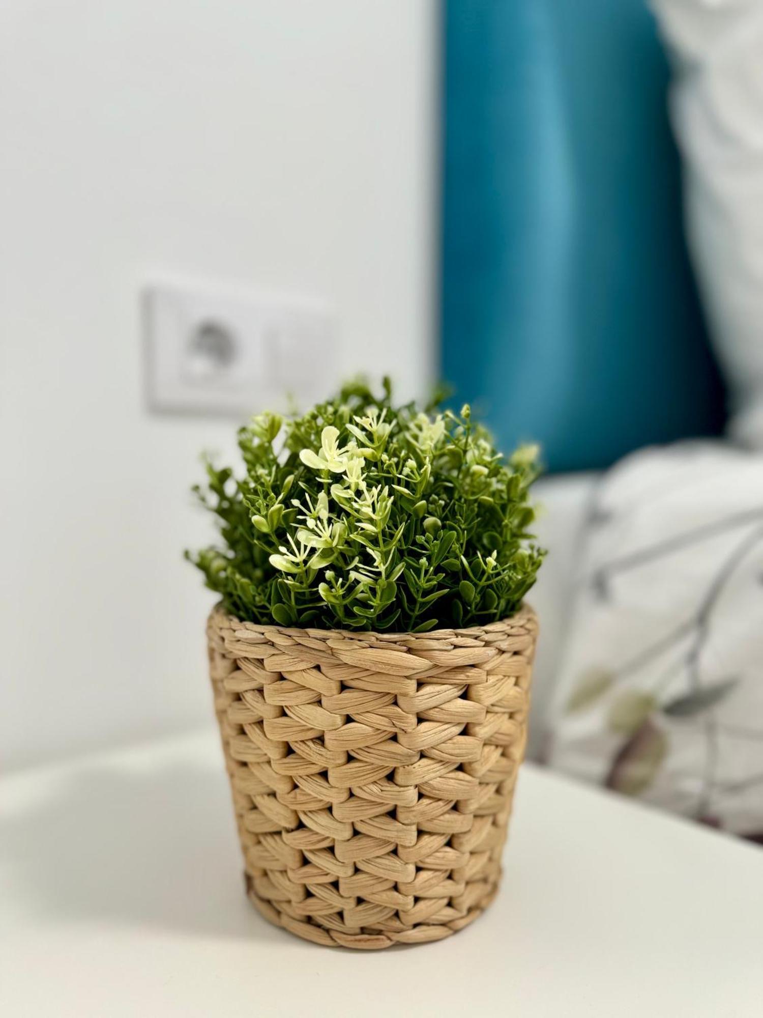 Apartamento Centrico Vigo Eksteriør billede